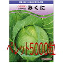 【入荷次第出荷】カネコ種苗 みくに キャベツ ペレット5000粒