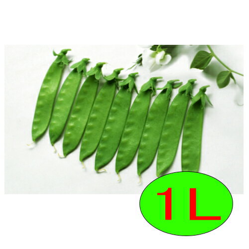 ※時期によっては出荷までにお時間を頂く場合がございます。又、季節もの、流動的な商品の為品切れの場合もございますので申し訳ございませんがその場合キャンセルさせていただきます。 ※場合によってはメーカー直送になることもございますので予めご了承く...