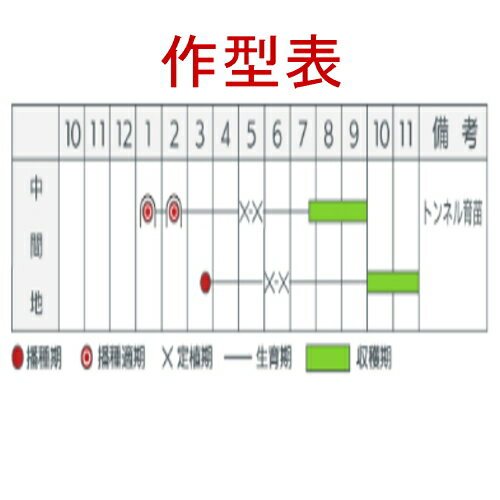 【入荷次第出荷】カネコ種苗　夏場所　2dl