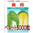 【入荷次第出荷】カネコ種苗 黄将 白菜 ペレット5000粒