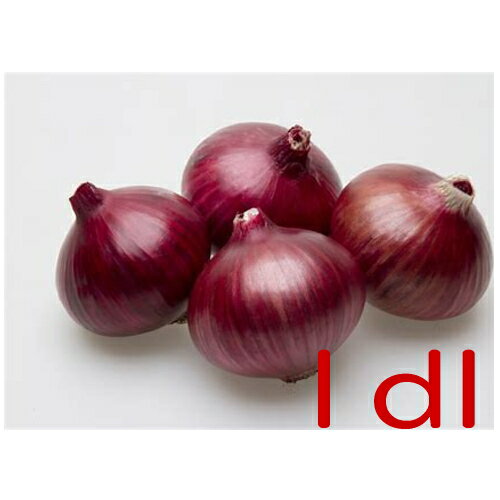 【入荷次第出荷】カネコ種苗　レッドアロー　玉葱　1dl