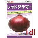 【入荷次第出荷】カネコ種苗 レッドグラマー 玉葱 1dl