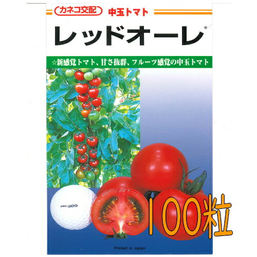 【入荷次第出荷】カネコ種苗　レッドオーレ　トマト　100粒