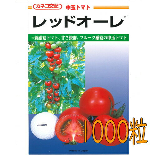 【入荷次第出荷】カネコ種苗　レッドオーレ　トマト　1000粒