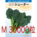 【入荷次第出荷】カネコ種苗 シューター 法蓮草 プライミング (M)30000粒