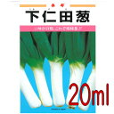 【入荷次第出荷】カネコ種苗 下仁田葱 20ml