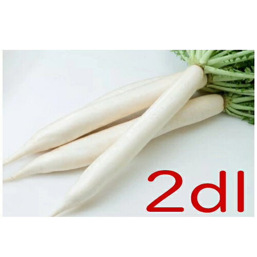 【入荷次第出荷】カネコ種苗　漬ひかり　大根　2dl