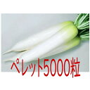 【入荷次第出荷】カネコ種苗 YR直秋 大根 ペレット5000粒