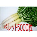 【入荷次第出荷】カネコ種苗 YR夏ゆたか 大根 ペレット5000粒