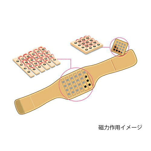 激安ショップE・T・Mのナック サビない身体にやさしい磁石です ナックバン（磁気腰サポーター）Mサイズ 整形外科用品 介護用品｜アングル2