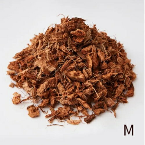 �ե��å�������ȴ���٥�ܥ�20��åȥ�(��)