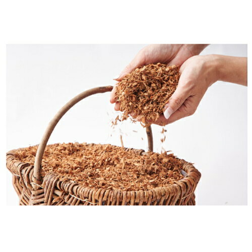 �ե��å����٥�ܥ󡦥ץ�ߥ��ࡡ50��åȥ롡3�ĥ��å�