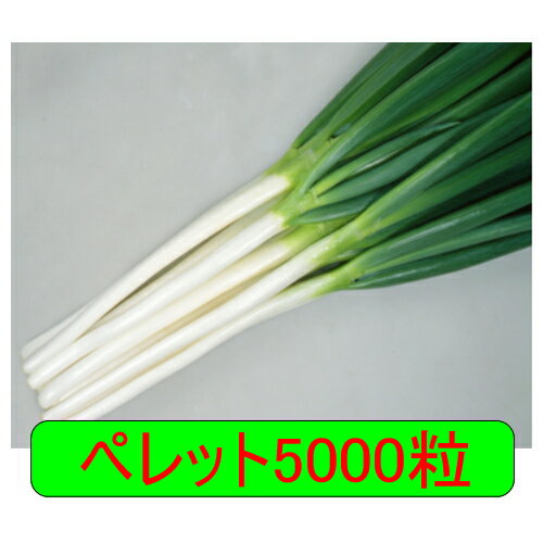 【入荷次第出荷】カネコ種苗　夏場所　ペレット5000粒