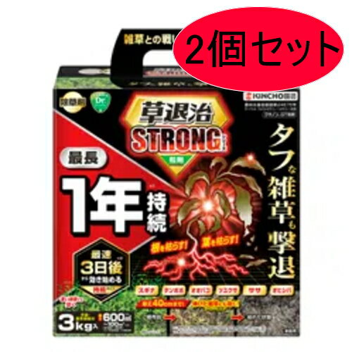 商品特長 3種類の有効成分が効く！ 最速3日後※1に効き始め最長1年※2生やさない！ タフな雑草も撃退！ 根までしっかり枯らす！ そのまま、まくだけ 手袋＆散布容器付き。 手を汚さずにそのまま使用できます。 無臭タイプ イヤなニオイはありません。 ※1：草丈40以下の一年生雑草での事例 ※2：雑草発生前〜雑草生育初期に本剤を散布した場合の刈り取り不要期間の目安で、雑草がまったく発生しないということではありません。持続期間は土壌条件、気象条件、雑草の種類によって変動します。 効果・薬害等の注意 ●雑草発生前〜生育期（草丈40以下）あるいは雑草を刈払った後早めに使用してください。 ●セイタカアワダチソウ、イタドリ等大型多年生広葉雑草には効果が劣るので、これら雑草の優占する所では使用しないでください。 ●ススキの株数が多い場合には30g/を超えないよう適用の範囲内で使用してください。 ●薬剤が樹木類等の植栽地に流入または飛散するおそれのある場所等では使用しないでください。 ●樹木類等の周辺では樹冠下より1m以上離して使用してください。 ●植物の根から吸収されると薬害が発生するので、水田や水田への利用が考えられる用水路等に本剤の流入が想定される場所や、農作物および樹木類等有用植物の付近では使用しないでください。 ●土壌が極端に乾燥している場合は効果が劣るので、土壌が適度の水分を含んでいるときに使用してください。 ●ハウス等の施設周辺では使用しないでください。 ●傾斜地や砂質土壌では本剤の流出による薬害のおそれがあるので使用しないでください。 ●作物のは種または植栽予定地では使用しないでください。 ●激しい降雨が予想される場合は、使用をさけてください。 ●水源池、養殖池等に本剤が飛散、流入しないように十分に注意してください。 ●使用量に合わせ秤量し、使いきる。散布器具、容器の洗浄水は河川等に流さず、空容器は環境に影響を与えないよう適切に処理してください。 ●本剤の使用に当たっては、使用量、使用時期、使用方法などを誤らないように注意し、特に初めて使用する場合には病害虫防除所等関係機関の指導を受けることが望ましいです。 安全使用上の注意 ●体調のすぐれない時は散布しないでください。 ●眼に入らないように注意。眼に入った場合は直ちに水洗し、眼科医の手当を受けてください（刺激性）。 ●使用の際は農薬用マスク、手袋、長ズボン・長袖の作業衣などを着用してください。作業後は手足、顔などを石けんでよく洗い、洗眼・うがいをしてください。 ●飛散によって自動車やカラートタンの塗装等へ影響を与えないよう、散布地域の選定に注意し、散布区域内の諸物件に十分留意してください。 ●駐車場、道路等で使用する場合は、使用中及び使用後（少なくとも使用当日）に小児や使用に関係のない者が使用区域に立ち入らないよう縄囲いや立て札を立てるなど配慮し、人畜等に被害を及ぼさないよう注意を払ってください。 ●散布器具及び容器の洗浄水は、河川等に流さない。また、空容器等は水産動植物に影響を与えないよう適切に処理してください。 ●使用残りの薬剤は必ず安全な場所に保管してください。 魚毒性等：河川、養殖池等に飛散、流入しないよう注意してください（藻類）。 安全性について 普通物です：草退治ストロングシリーズ 粒タイプ クサノンGT粒剤は普通物です。毒物や劇物ではありません。 植物だけに効く：植物特有の光合成などの機能に作用して雑草を枯らします。 微生物が分解：成分は土壌中の微生物によって徐々に分解されます。 安全性試験済：各種の毒性試験により安全性を確認しています。 有効成分　ターバシル・フルミオキサジン・ヘキサジノン 薬剤登録　農林水産省登録第24675号 性状 類白色細粒 剤型 粒剤 JANコード 4975292605041
