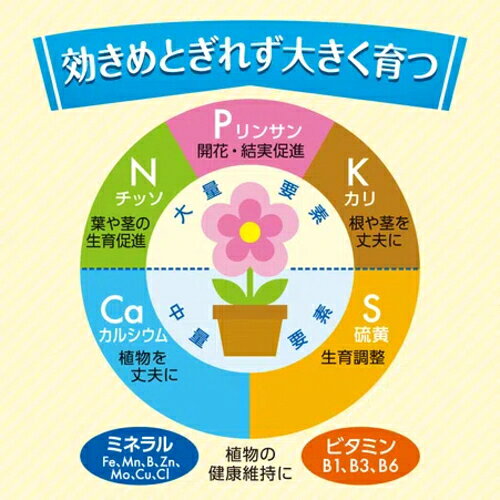キンチョー園芸　R花工場原液　1200ml　12個セット