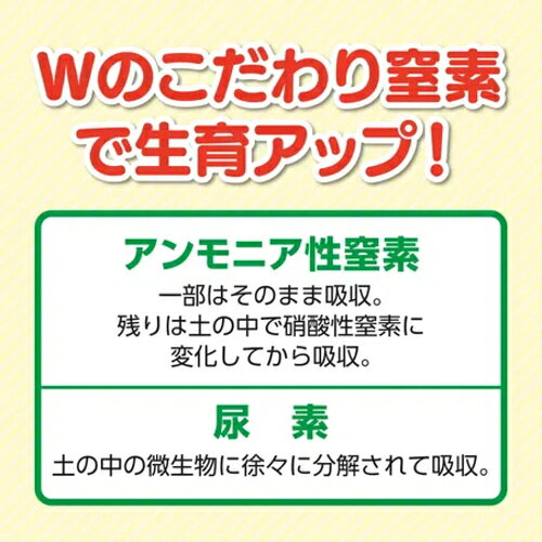 キンチョー園芸　R花工場原液　1200ml　12個セット