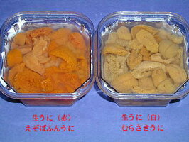 うに塩水北海道殻からむきたて生うにエゾバフンウニ100g2個1セット