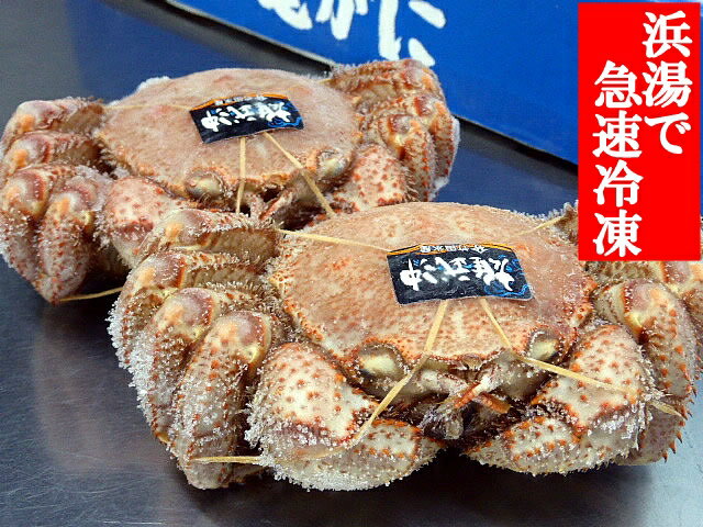 毛ガニ 北海道 北海道産 冷凍ボイル 毛ガニ たっぷり約550g×2 贈答 送料無料