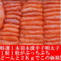 辛子明太子明太子ギフト贈答業務用明太子2kご贈答にどうぞ古平からお届け