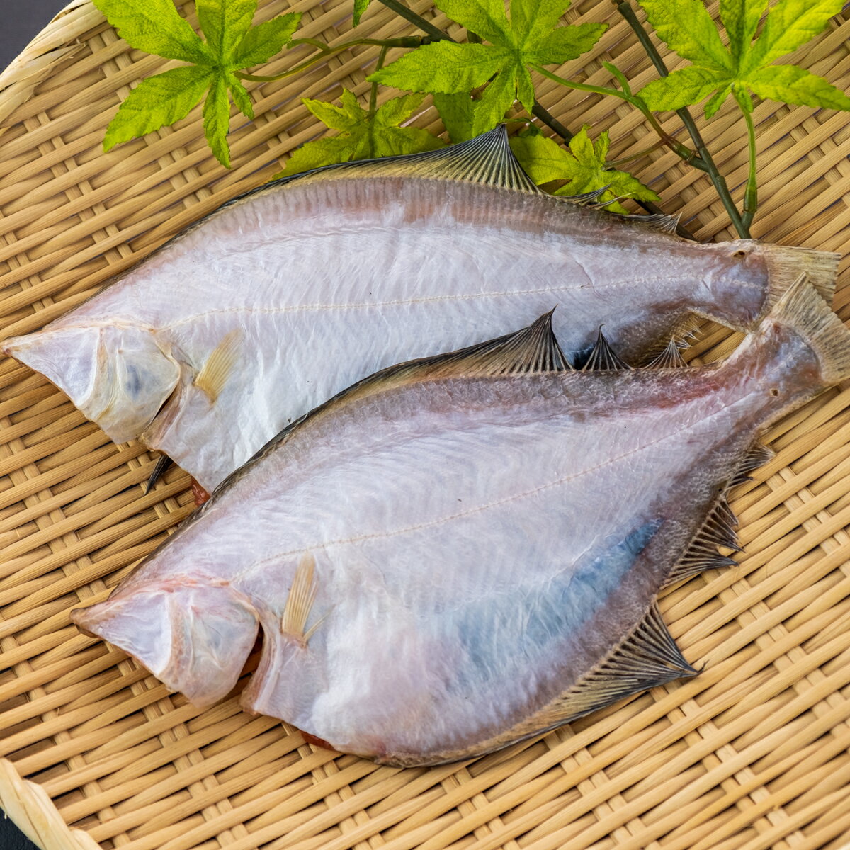 北海道　近海産宗八ガレイ一夜干し2枚1セット