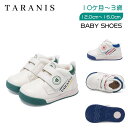 【全品P10倍限定配布】シューズ ベビーシューズ スニーカー Baby shoes 歩育シューズ 柔らかい 子供 靴 キッズ スクスク 足を守るクッション素材 おしゃれ 超軽量 通気性 吸汗性 抗菌性 消臭性 土踏まずを保護 上履き 贈り物 プレゼント