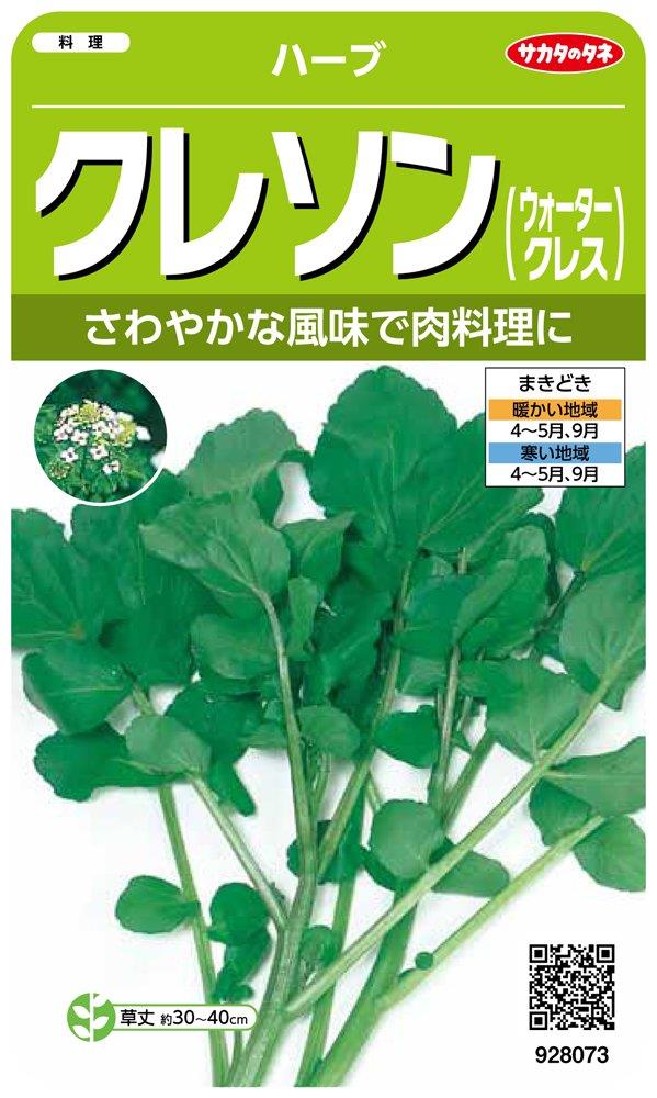 サカタのタネ 実咲ハーブ8073 クレソン(ウォータークレス) ハーブ 00928073