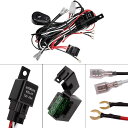 YUNPICAR 汎用フォグランプ配線 リレーハーネス ロッカースイッチ搭载 12V/ 40A パワーリレー ブレードヒューズ 2灯用 (リレーハーネス)(2)