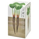 聖新陶芸 家庭菜園 簡単 栽培キット ゆったり育てる ごぼう 野菜 栽培セット ( 自由研究 / 食育 ) 鉢の径約10cm おうちで根菜 母の日 プレゼント ...