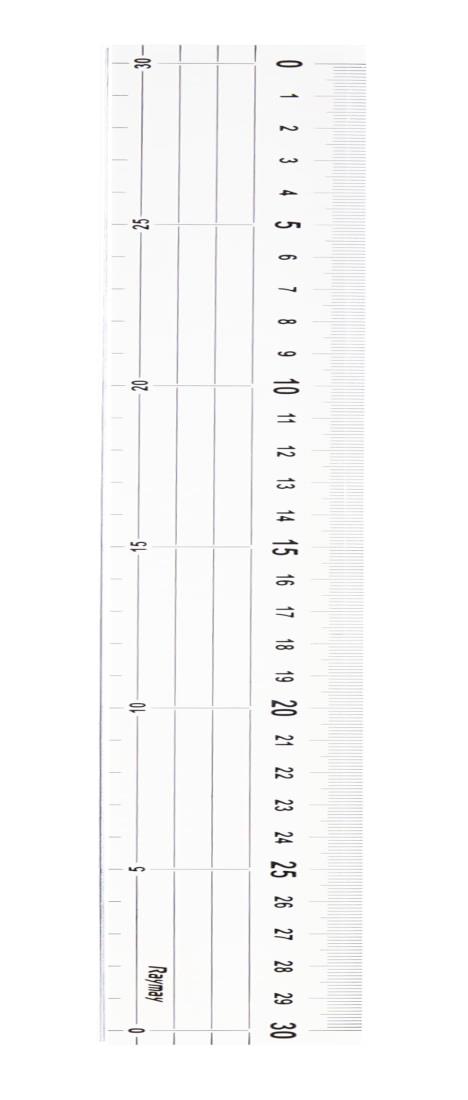レイメイ藤井 定規 カッティング定規 30cm ACJ2005