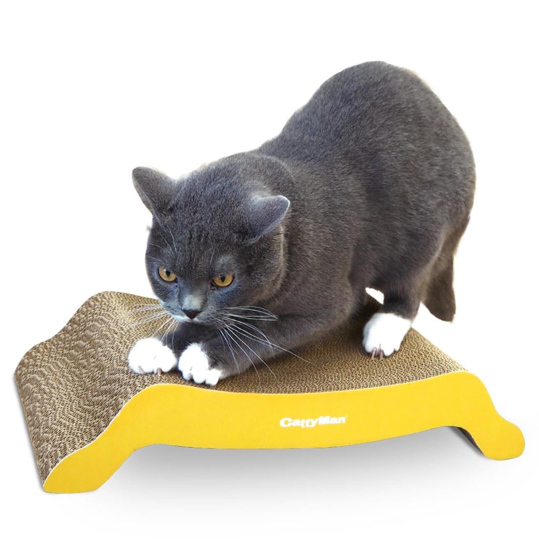 キャティーマン irotogi 猫の爪みがき ぶりっじ