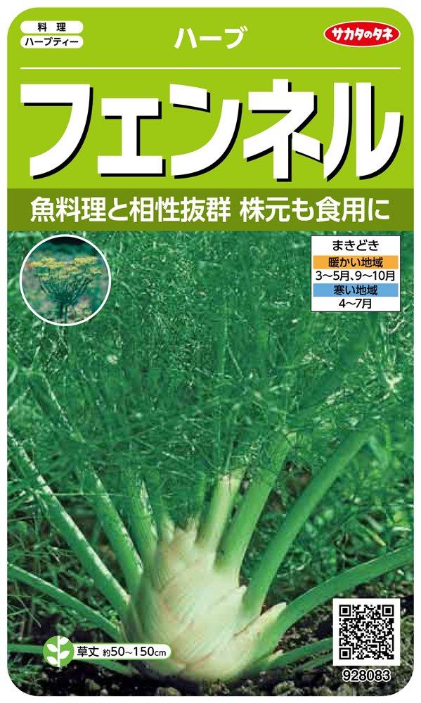 サカタのタネ 実咲ハーブ8083 フェンネル ハーブ 00928083