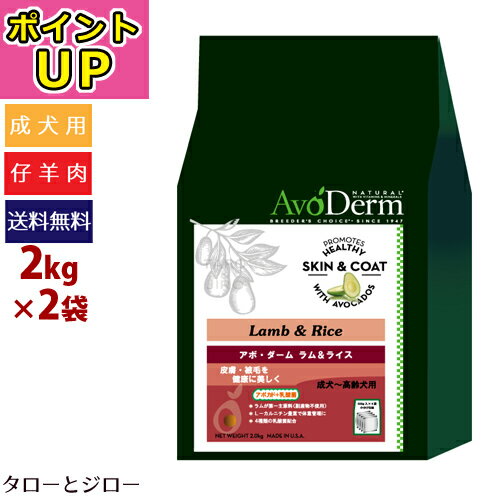 【ポイントUP】アボ ダーム ドッグ ラム＆ライス 2kg×2袋 全犬種 成犬用ドライフード アボカド 仔羊肉 小麦不使用 【500g×4袋の小分け】