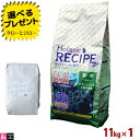 【選べるおまけ付】ホリスティックレセピー【猫 EC-12乳酸菌 チキン&ライス】11kg ブリーダーパック 大袋 小麦不使用 キャットフード