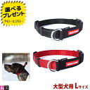 イージードッグ 犬用 首輪 チェックメイト Lサイズ 大型犬用(首まわり42〜62cm) 全2色(ブラック/レッド)【取寄商品】【返品/交換不可】