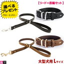 イージードッグ 犬用 レザーカラー+リード おそろい 2点セット 首輪 Lサイズ 首回り45〜55cm 全2色(ブラック/ブラウン) プレミアム レザー コレク...