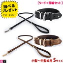 イージードッグ 犬用 レザーカラー+リード ライト おそろい 2点セット 首輪 Sサイズ 首回り25〜35cm 全2色(ブラック/ブラウン) プレミアム レザー...