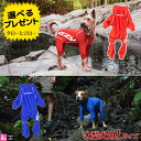 イージードッグ 犬用 機能性ウェア ロングスリーブ ラッシュガード Lサイズ 大型犬用(着丈45cm / 胴まわり54cm / 首まわり下38cm) 長袖 全2...