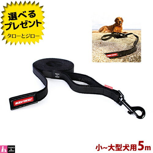 ���������ɥå� ���� ���󥰥꡼�� �ȥ�å����ȥ쥤�� �����緿���� 5m �֥�å� ���ڼ���ʡۡ�����/���Բġ�