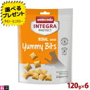 アニモンダ 猫用 インテグラ プロテクト 腎臓ケア ヤミービッツ 120g×6 リナール ニーレン おやつ RENAL NIEREN 86935