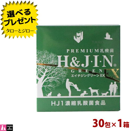 Granule, Powder Type - 【選べるおまけ付】H&JIN 犬用 猫用 乳酸菌 エイチジン グリーンEX 動物用 1g×30包 HJ1乳酸菌