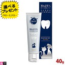 【選べるおまけ付き】H&JIN 犬用 猫用 乳酸菌 エイチジン バイオブレス 動物用 40g ジェルタイプ HJ1乳酸菌配合動物用オーラルケア