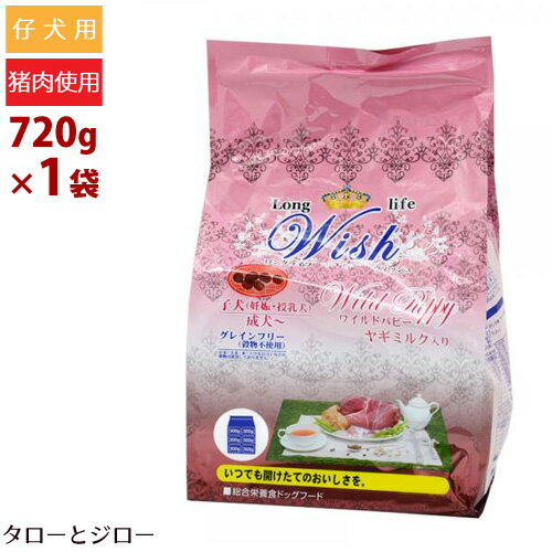ウィッシュ 仔犬 母犬用 ドライフード ワイルドパピー 720g イノシシ 高栄養 ヤギミルク配合 グレインフリー お試しサイズ【120g×6袋の小分け】