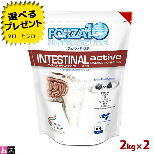 【ポイント10倍】フォルツァディエチ インテスティナルアクティブ(ドッグ) 2kg×2袋 胃腸ケア用食事療法食 成犬用ドライフード 小粒