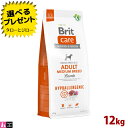 Brit ubgyBritPA CX A_g Mz12kg qr ^ p AQ hbOt[h