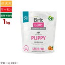 Brit ubgyBritPA OCt[ ps[z1kg e DPE̕ꌢp T[ |eg sgp HAM[z hbOt[h