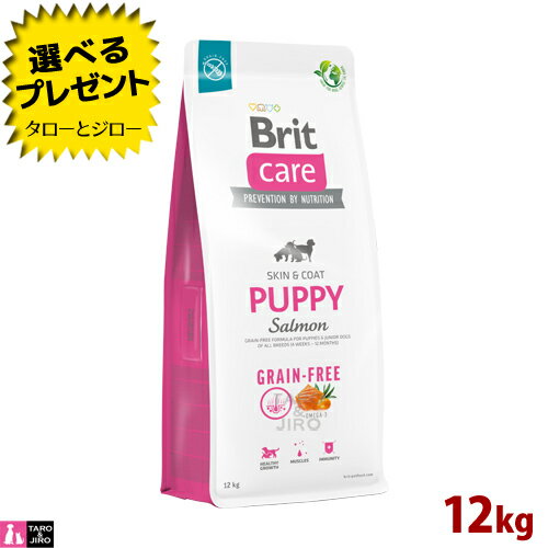 Brit ubgyBritPA OCt[ ps[z12kg e DPE̕ꌢp T[ |eg sgp HAM[z hbOt[h