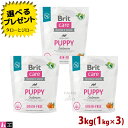 Brit ubgyBritPA OCt[ ps[z3kg(1kg~3) e DPE̕ꌢp T[ |eg sgp HAM[z hbOt[h