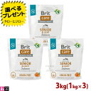 Brit ubgyBritPA OCt[ VjACgz3kg(1kg~3)T[|eg sgp