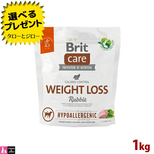 Brit ubgyBritPA EGCgXz1kg e p ̏dǗ AQ hbOt[h