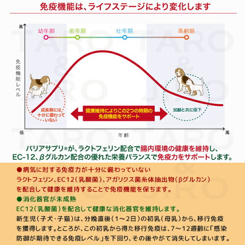 バリアサプリ キャット キトン ジュニア 90g 仔猫用 サプリメント 粉ミルク 国産 3